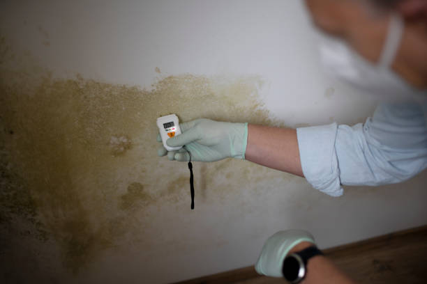 Best Forensic Mold Investigation  in Rochester, NH